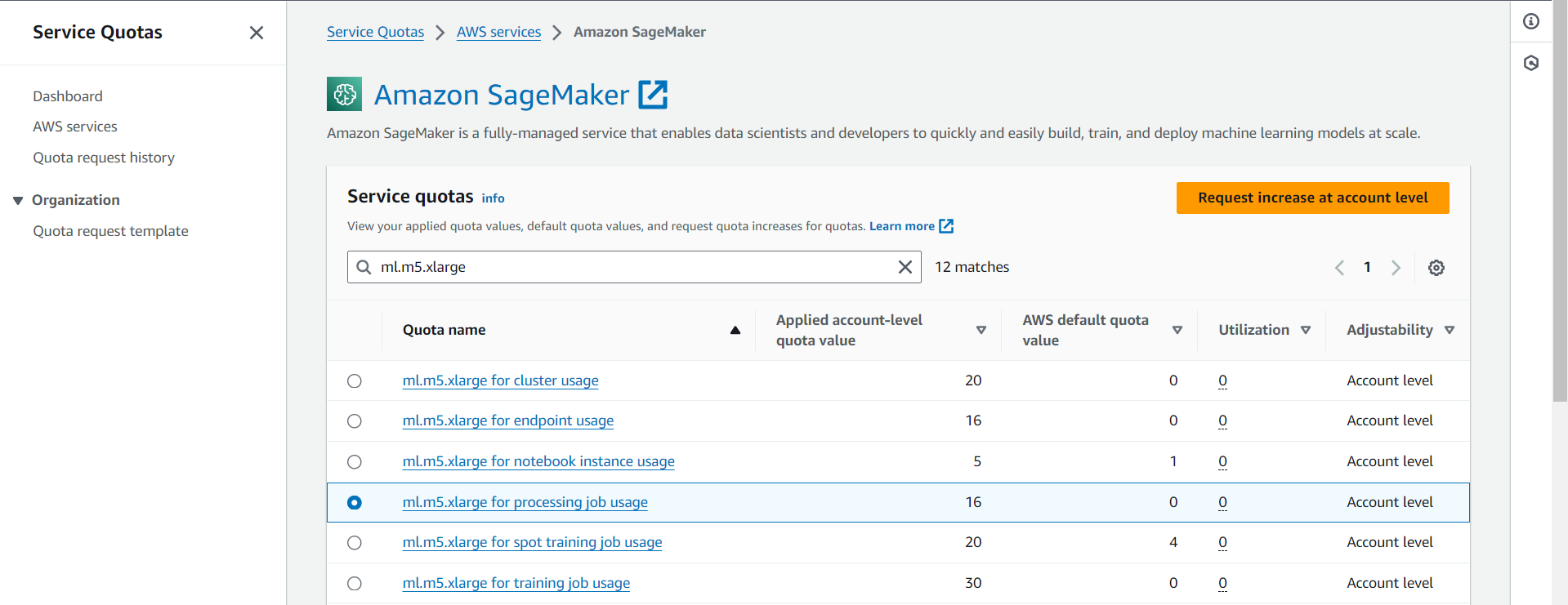 SageMaker Processing Job